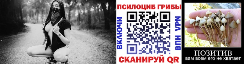 Псилоцибиновые грибы MAGIC MUSHROOMS  Электроугли 
